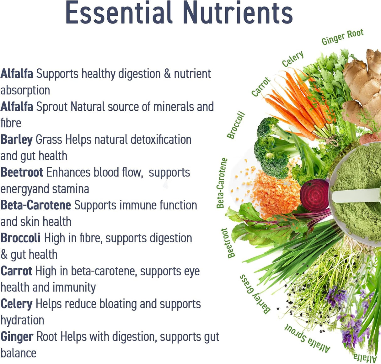 Applied Nutrition Critical Greens Superfood Blend for Gut Health Energy and Immune Support 30 Servis