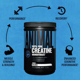Universal Animal Creatine Monohydrate Monohidrat 500gr - 100 SERVİS - Usa menşei Yerli üretim değildir