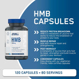 Applied Nutrition HMB 500mg Leucine Muscle Growth Repair 120 Caps