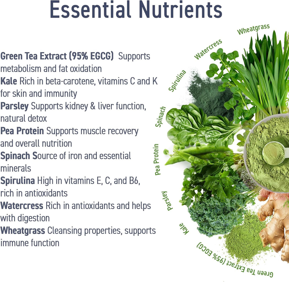 Applied Nutrition Critical Greens Superfood Blend for Gut Health Energy and Immune Support 30 Servis