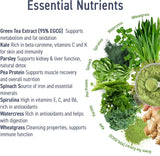 Applied Nutrition Critical Greens Detox Powder Superfood Gut Health Immune Support Vegan 30 Servis